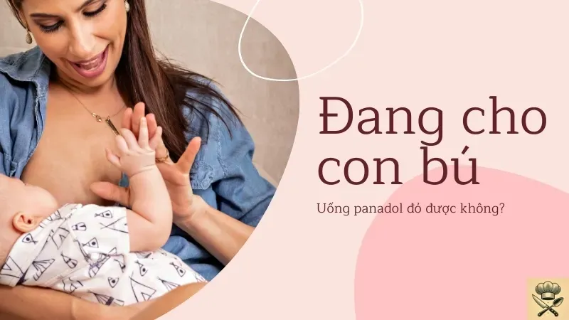 Đang cho con bú có uống Panadol đỏ được không? Những điều mẹ cần biết 2