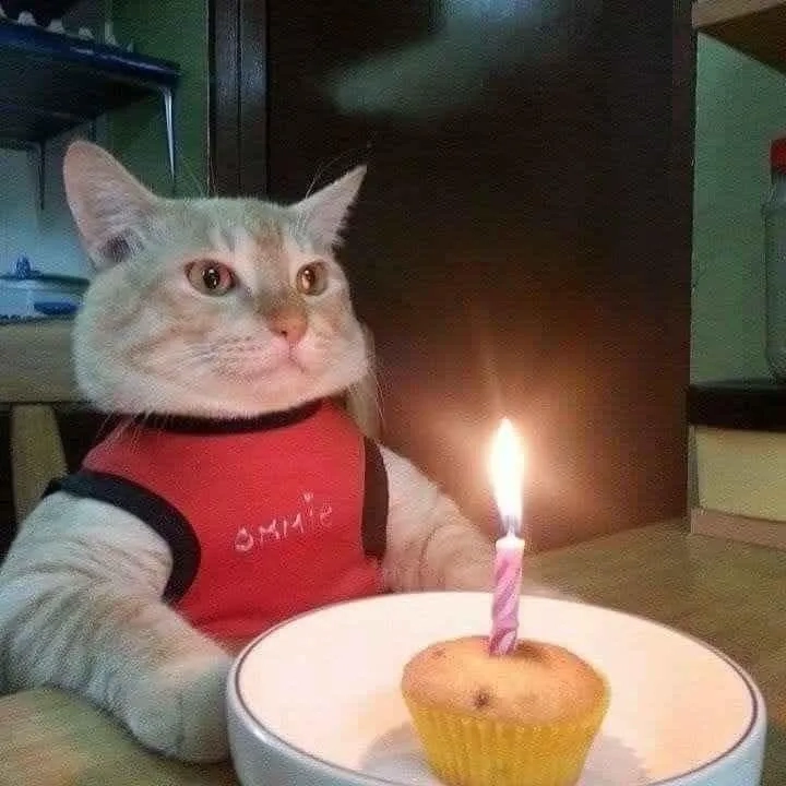 Ronaldo happy birthday meme dành cho người hâm mộ bóng đá.