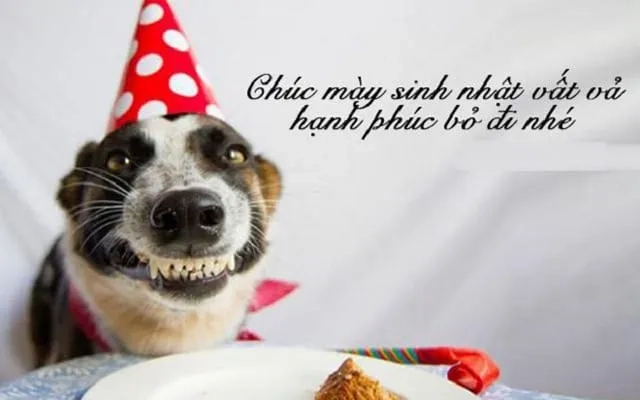 Bánh sinh nhật ếch meme sẽ làm bữa tiệc thêm vui nhộn.