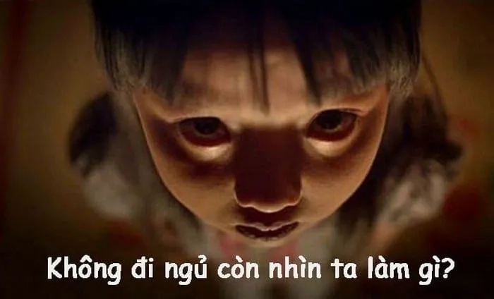Meme mèo ngủ dậy mang lại tiếng cười sảng khoái sau một giấc ngủ ngon.
