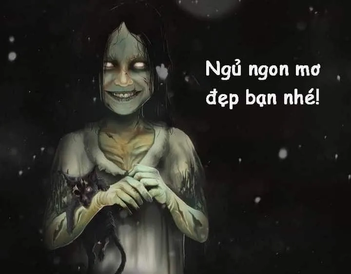 Meme ngủ ngon mèo giúp bạn thư giãn và có một đêm ngon giấc.