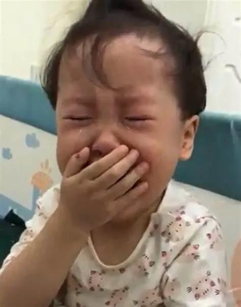 Meme mèo mất ngủ hài hước khiến bạn cảm thấy đồng cảm với các chú mèo.