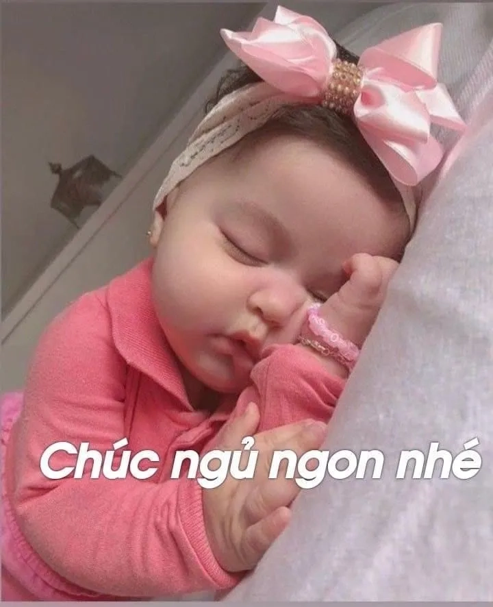 Ảnh chúc ngủ ngon meme mang đến những khoảnh khắc thư giãn và vui nhộn.