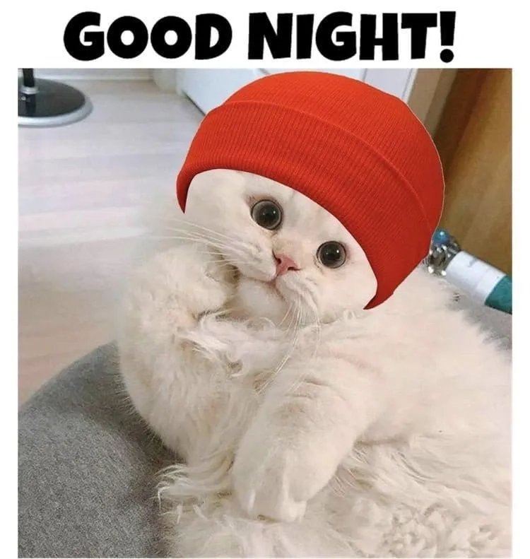 Tìm những ngủ meme vui nhộn giúp bạn thoải mái trước khi ngủ.