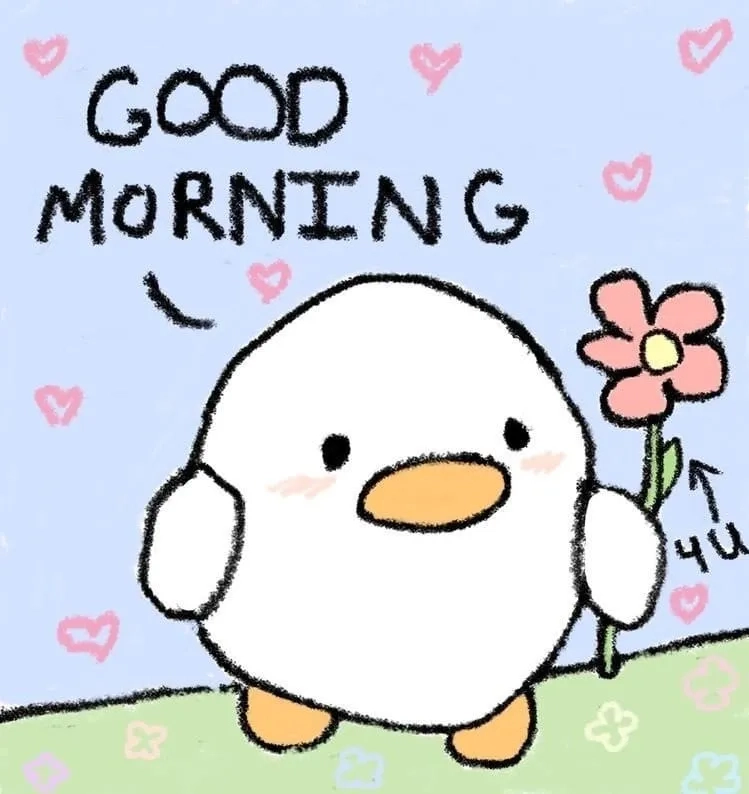 Chúc ngủ ngon qua những chúc ngủ ngon meme dễ thương và hài hước.