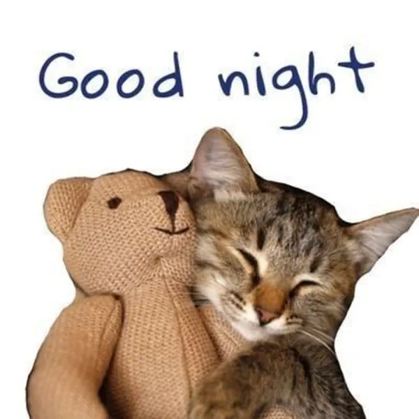 Meme buồn ngủ cute thể hiện sự dễ thương trong những khoảnh khắc buồn ngủ.