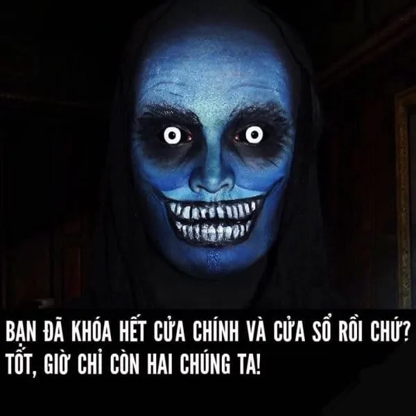 Mèo meme ngủ dễ thương khiến bạn cảm thấy thư giãn và dễ chịu.