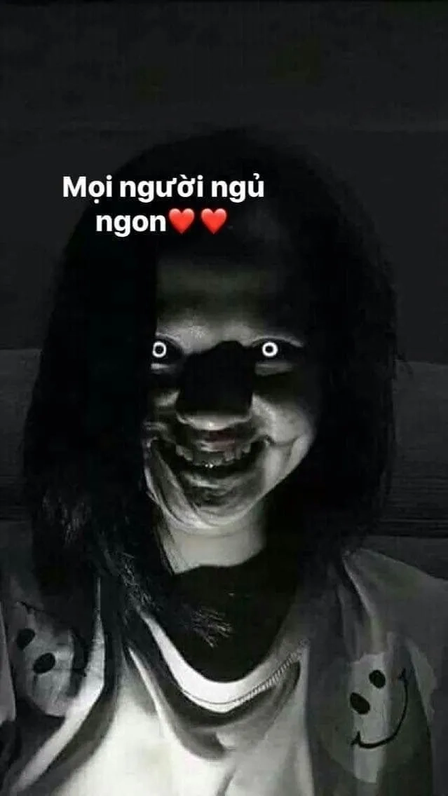 Ảnh meme mèo ngủ dễ thương và hài hước giúp bạn thư giãn trước khi ngủ.
