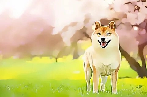 Meme Cheems Doge mang đến sự ngớ ngẩn nhưng đầy thú vị.