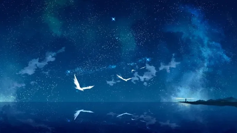 Bầu trời sao đẹp khiến bạn cảm nhận sự mênh mông và kỳ diệu của vũ trụ.