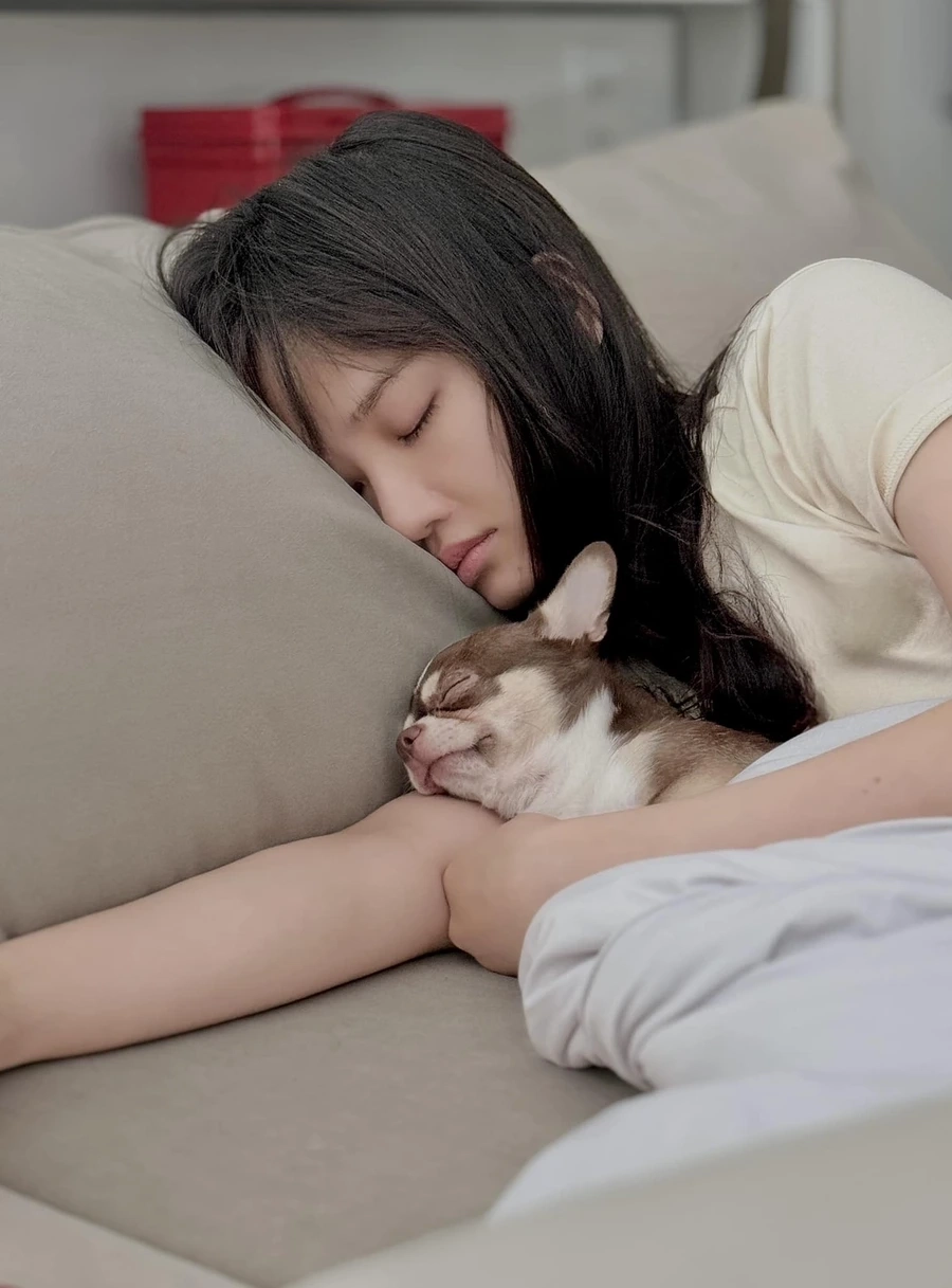 Danh sách các tác phẩm điện ảnh của phim miu lê đóng.