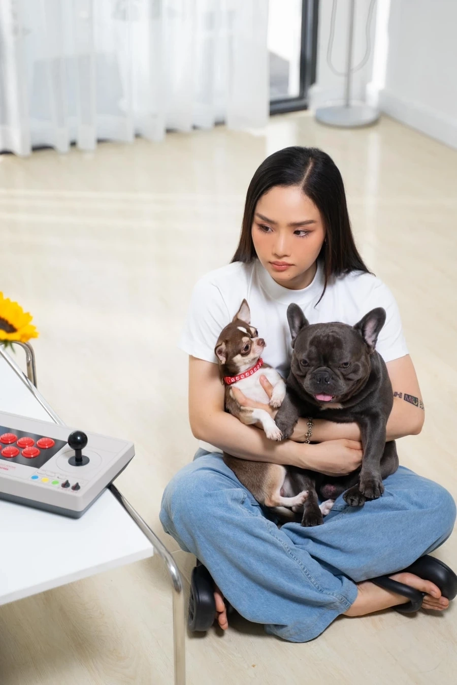 Tuyển tập những hit nổi bật trong các bài hát của miu lê.