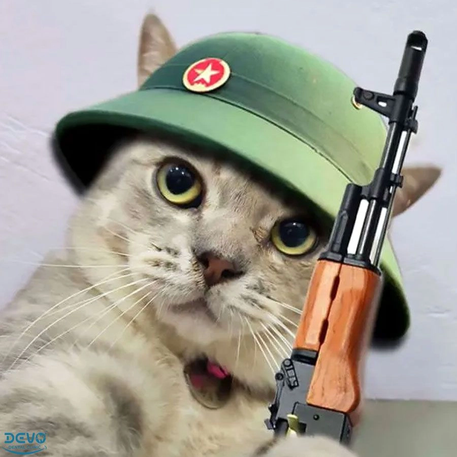 Ảnh meme con mèo cầm súng dành cho những pha combat hài hước