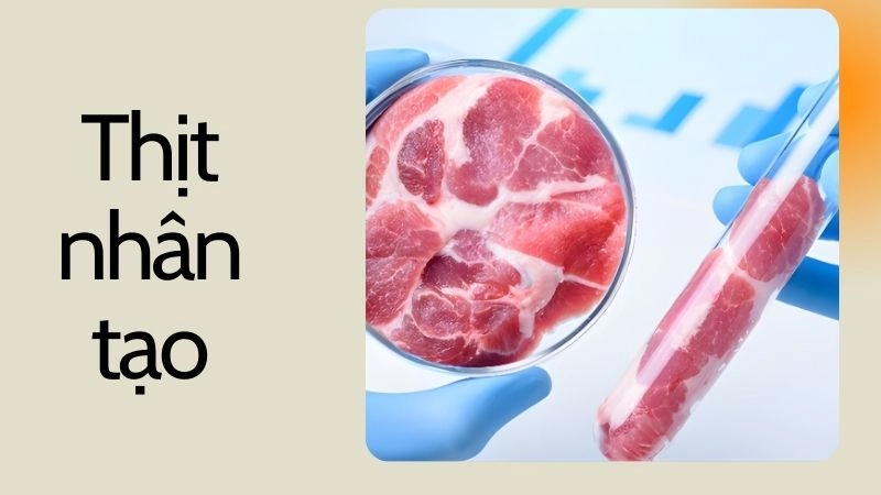 Thịt nhân tạo là gì? Quy trình sản xuất ra sao?