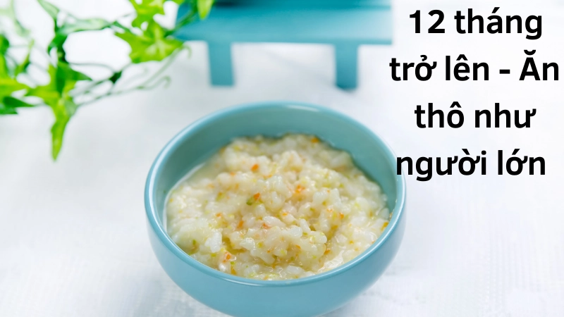 12 tháng trở lên - Ăn thô như người lớn (có kiểm soát)