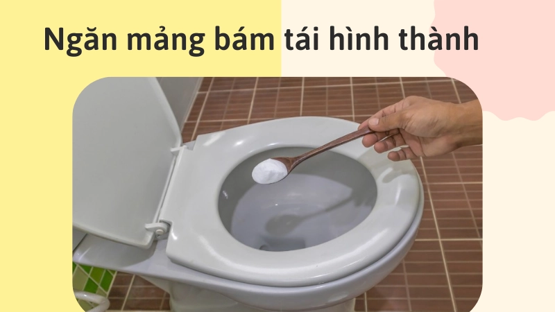 Cách ngăn ngừa mảng bám quay trở lại
