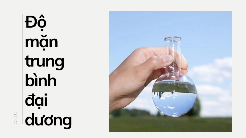 Giải đáp thắc mắc về độ mặn trung bình của đại dương